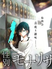 番剧更新节奏与弹幕密度